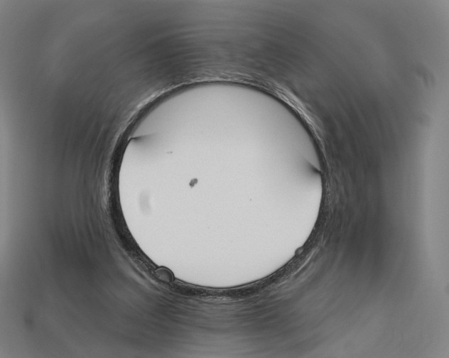 X0000112540203200909281106