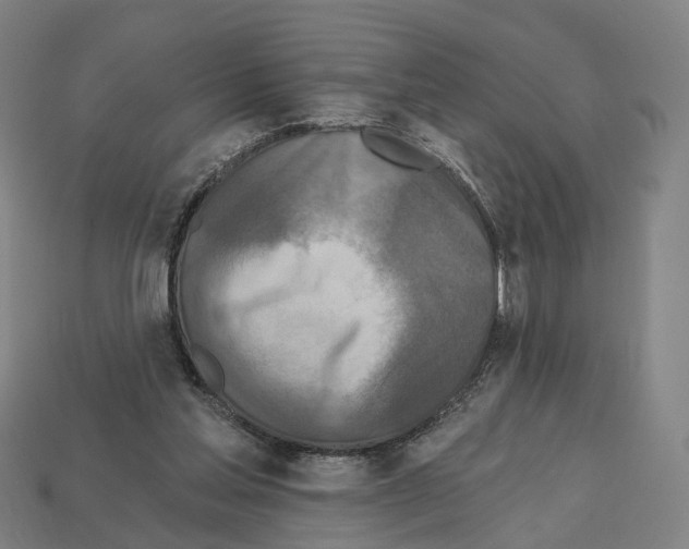 X0000112540205200909281106