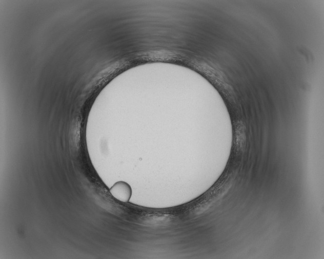 X0000112540206200909281106