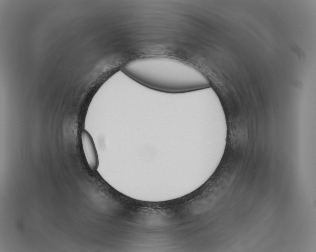 X0000112540207200909281106