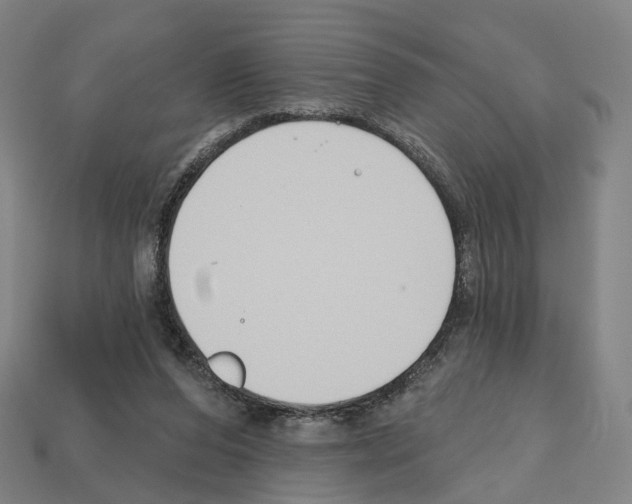 X0000112540208200909281106