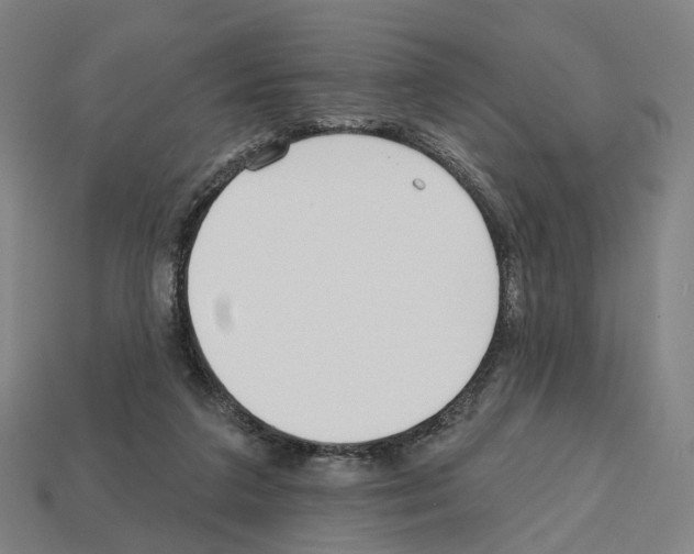 X0000112540211200909281106