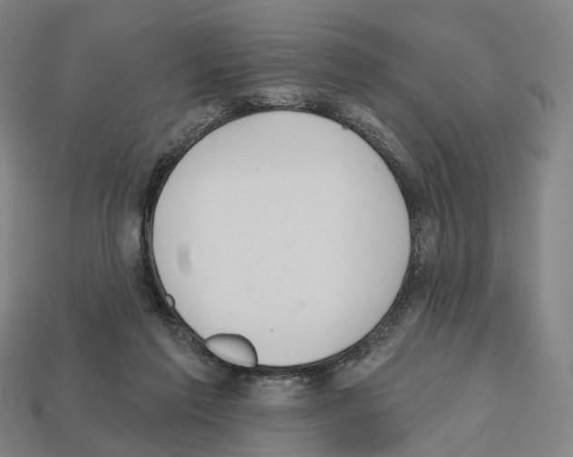 X0000112540213200909281106