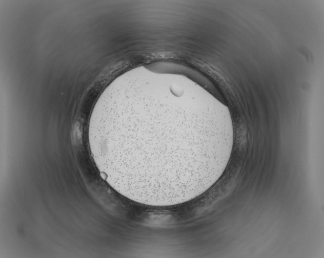 X0000112540214200909281106