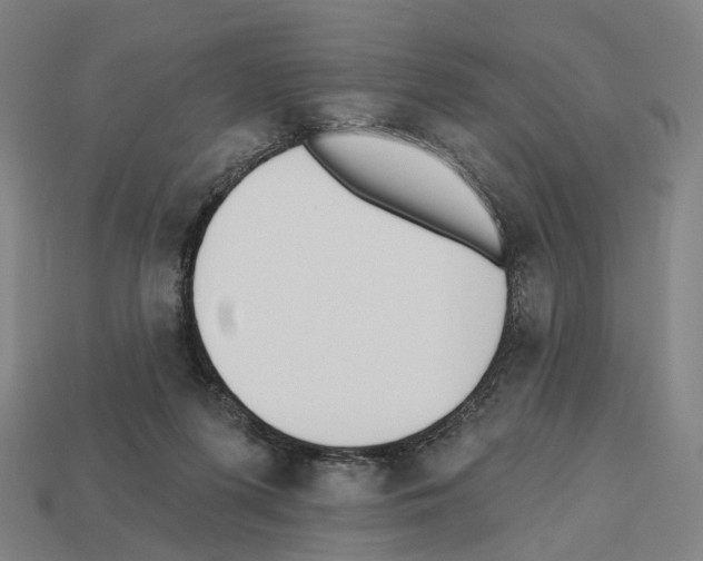 X0000112540215200909281106