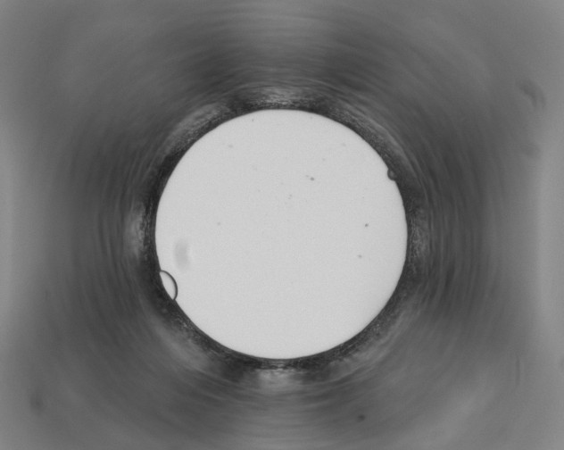 X0000112540216200909281106