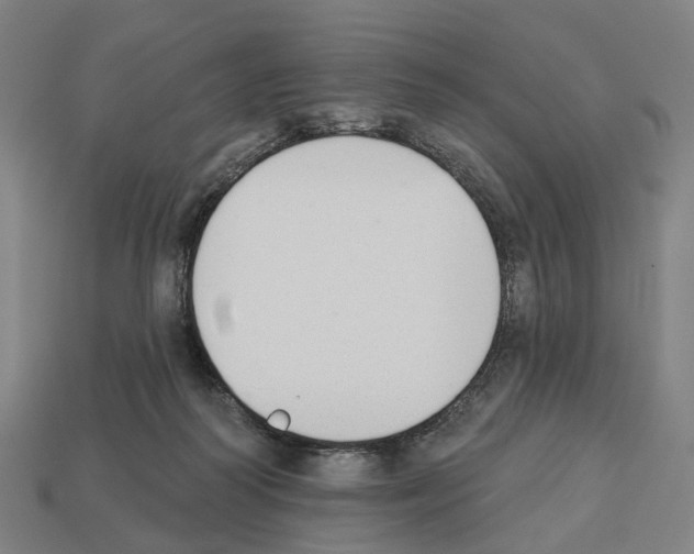 X0000112540218200909281106