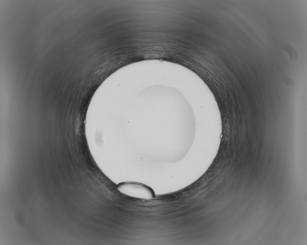 X0000112540219200909281106
