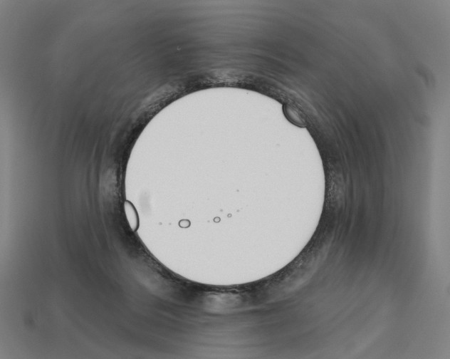 X0000112540220200909281106