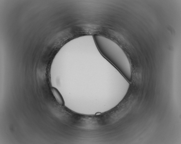 X0000112540221200909281106