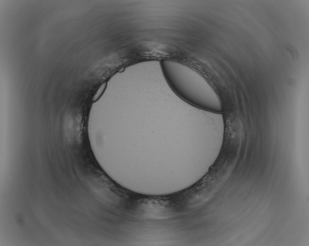 X0000112540223200909281106