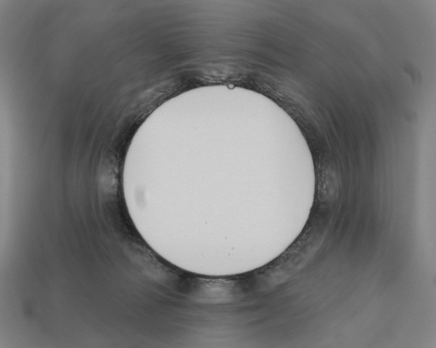 X0000112540226200909281106