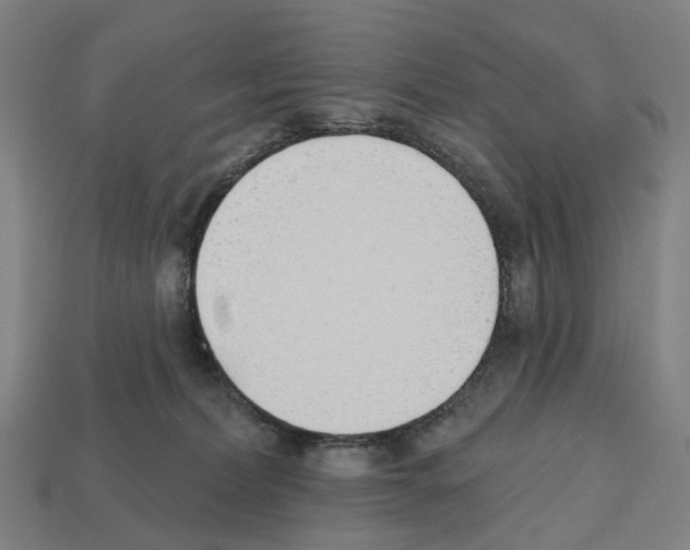 X0000112540228200909281106