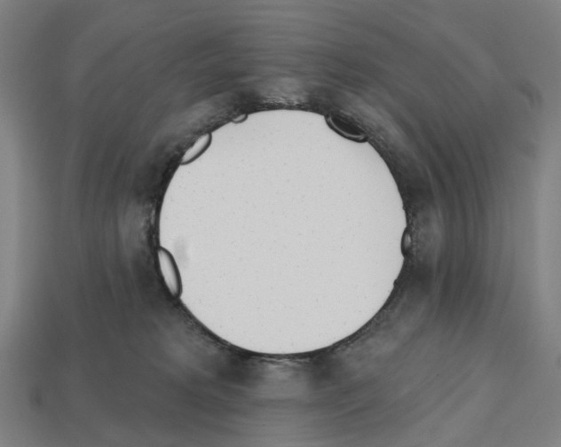 X0000112540229200909281106