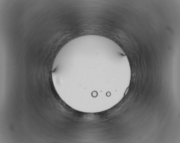 X0000112540231200909281106