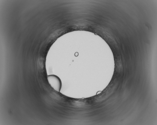 X0000112540232200909281106