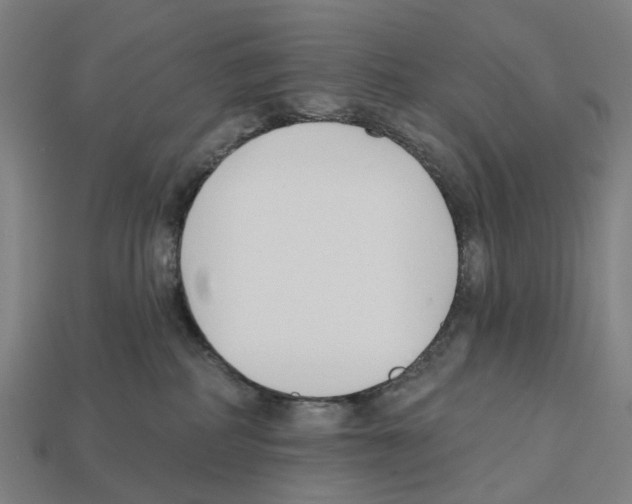X0000112540234200909281106