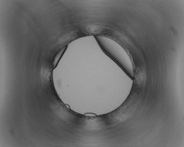 X0000112540235200909281106