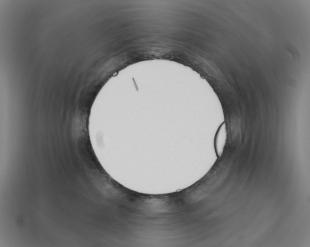 X0000112540236200909281106