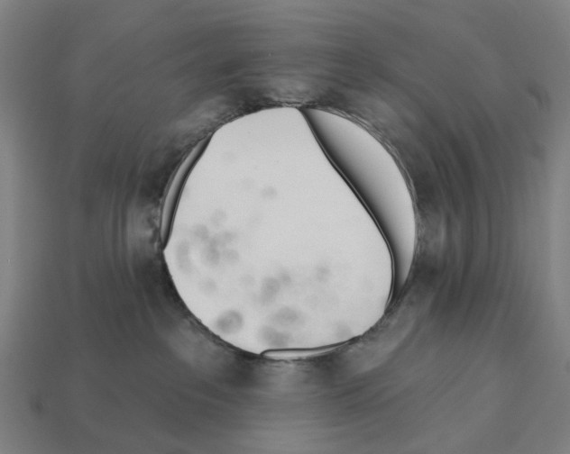 X0000112540237200909281106