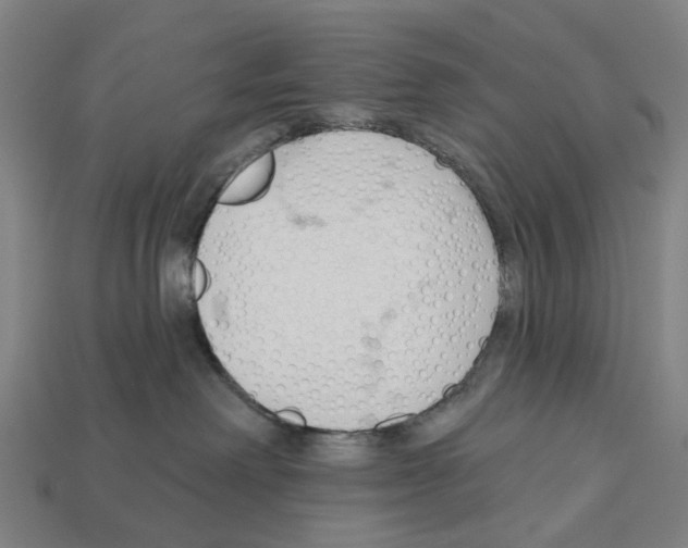 X0000112540238200909281106