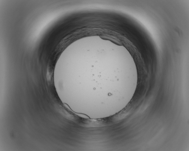 X0000112540239200909281106