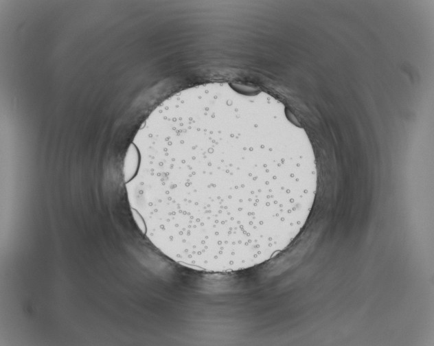 X0000112540240200909281106