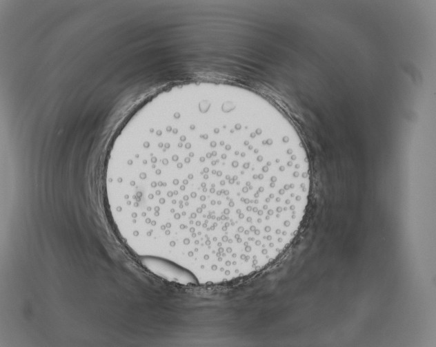 X0000112540241200909281105