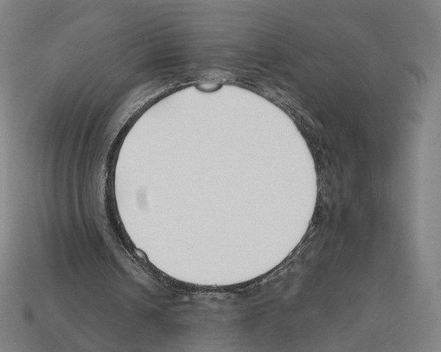 X0000112540242200909281105