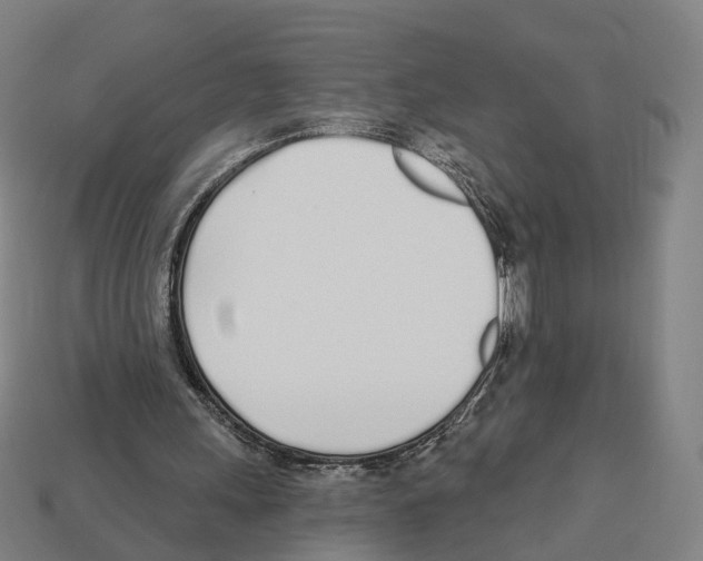 X0000112540243200909281105
