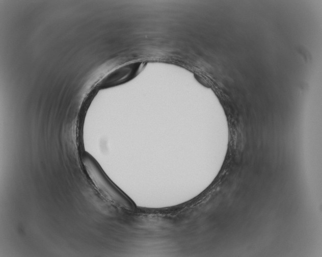 X0000112540244200909281105