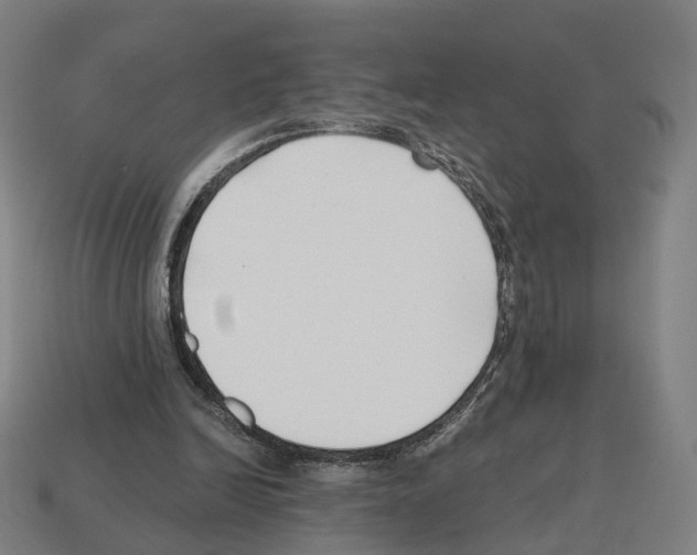 X0000112540246200909281105