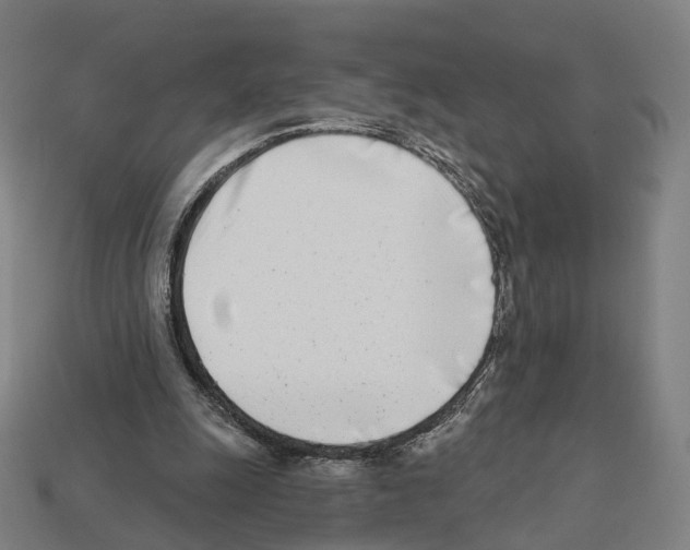 X0000112540247200909281105