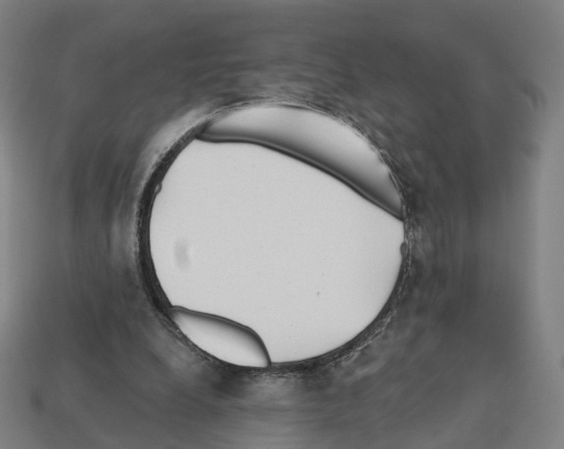 X0000112540248200909281105