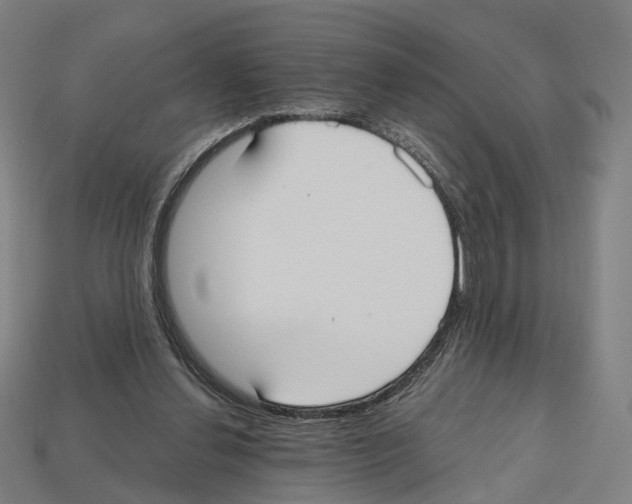 X0000112540252200909281105
