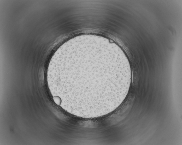 X0000112540253200909281105