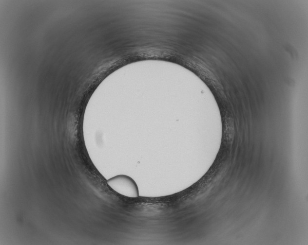 X0000112540255200909281105