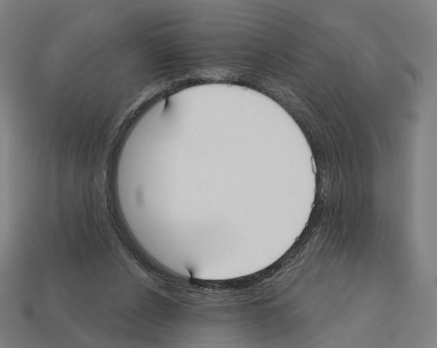 X0000112540256200909281105