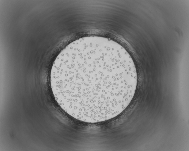 X0000112540257200909281105