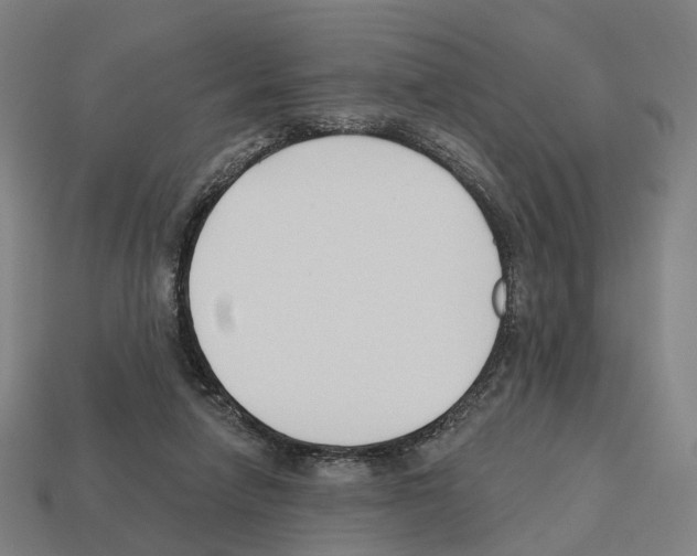 X0000112540258200909281105