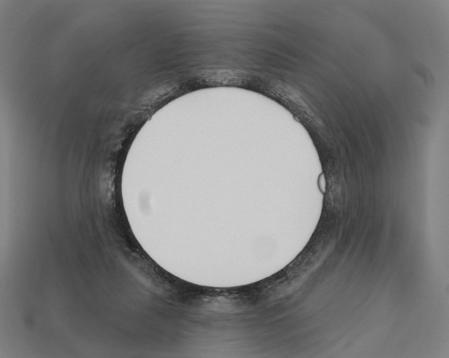 X0000112540259200909281105