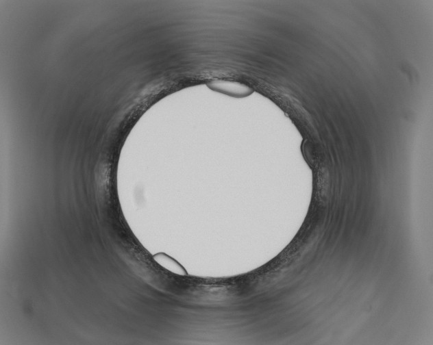 X0000112540260200909281105