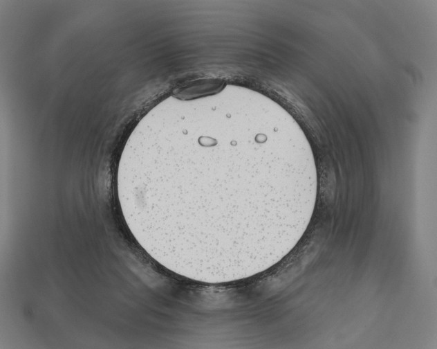 X0000112540261200909281105
