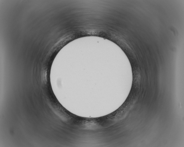 X0000112540262200909281105