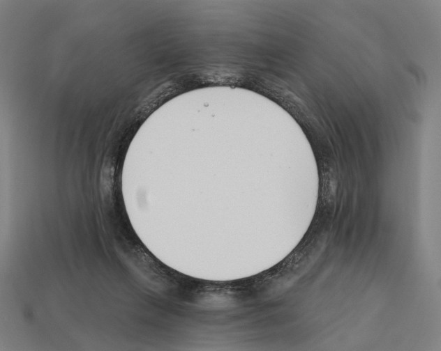 X0000112540263200909281105