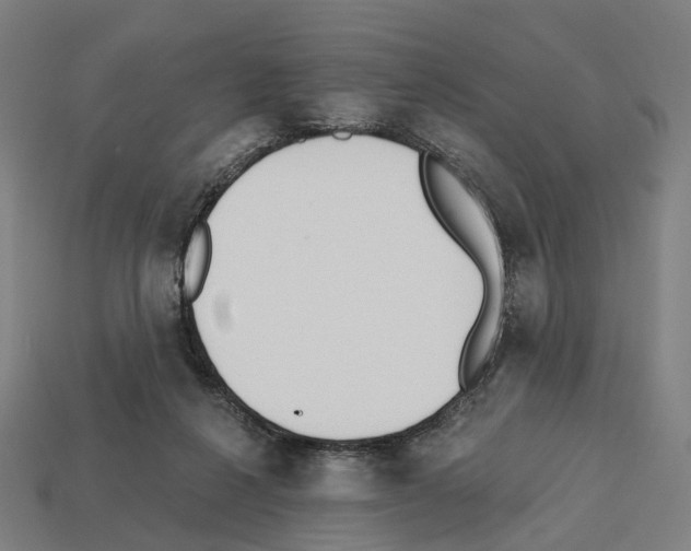 X0000112540264200909281105