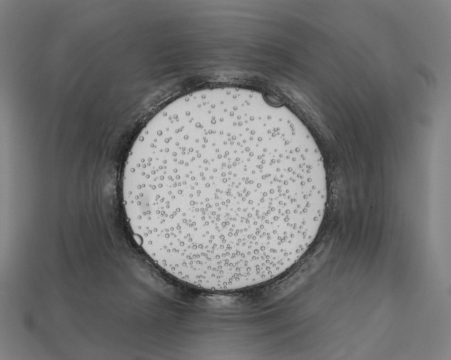 X0000112540265200909281105