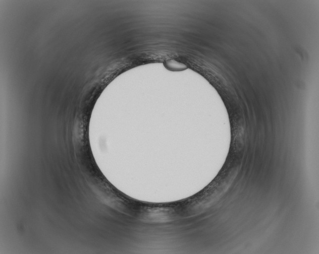 X0000112540268200909281105