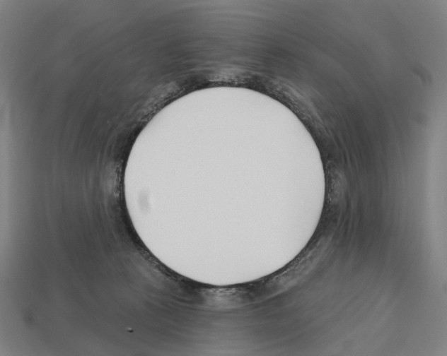 X0000112540273200909281105