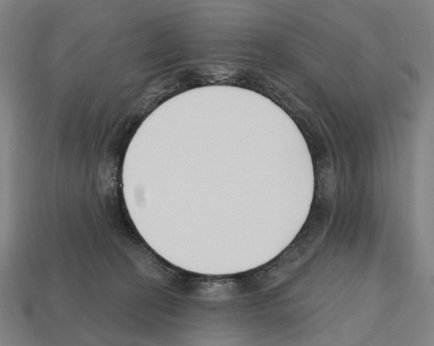 X0000112540274200909281105